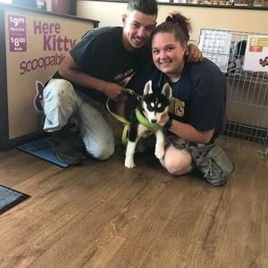 Meet your Posher, Brandon